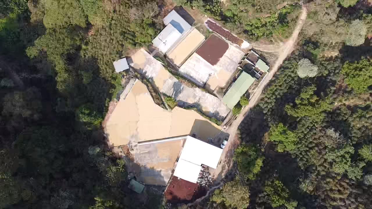 Toma de dron cenital de los patios de secado y el beneficio
